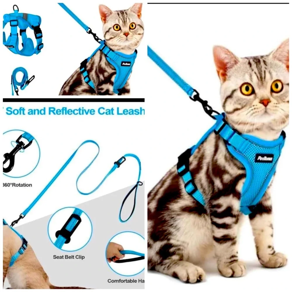 Cat Harness And leash Set